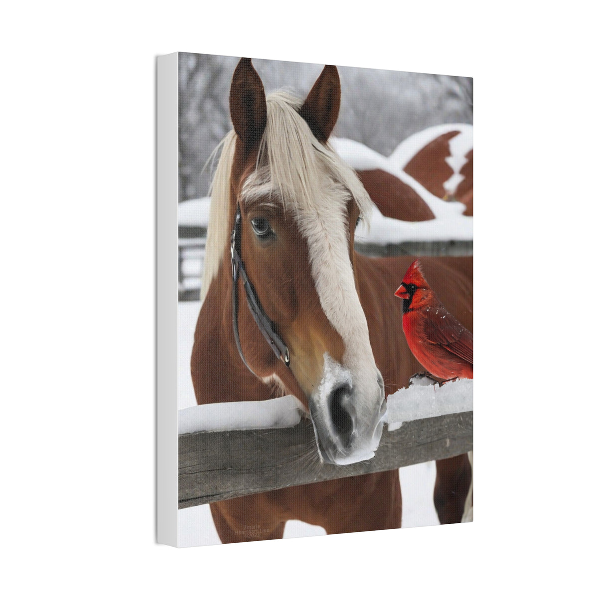Horse and Cardinal Polyester Canvas