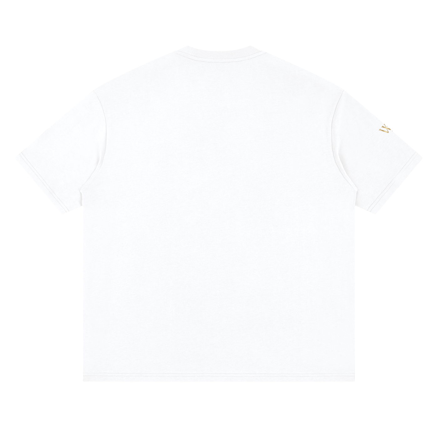 THE GENESIS COLLECTION- The Garden Unisex Streetwear Loose Drop Shoulder T-Shirt