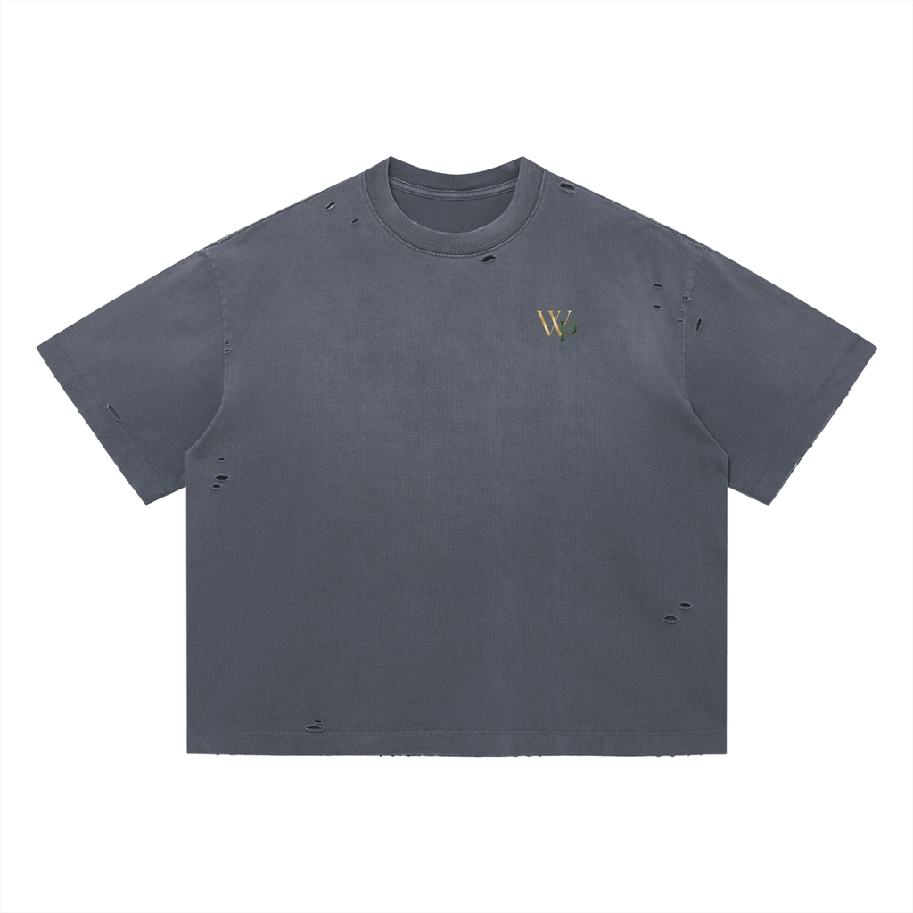THE GENESIS COLLECTION: GARDEN Unisex Vintage Washed Distressed Boxy Oversized T-Shirt