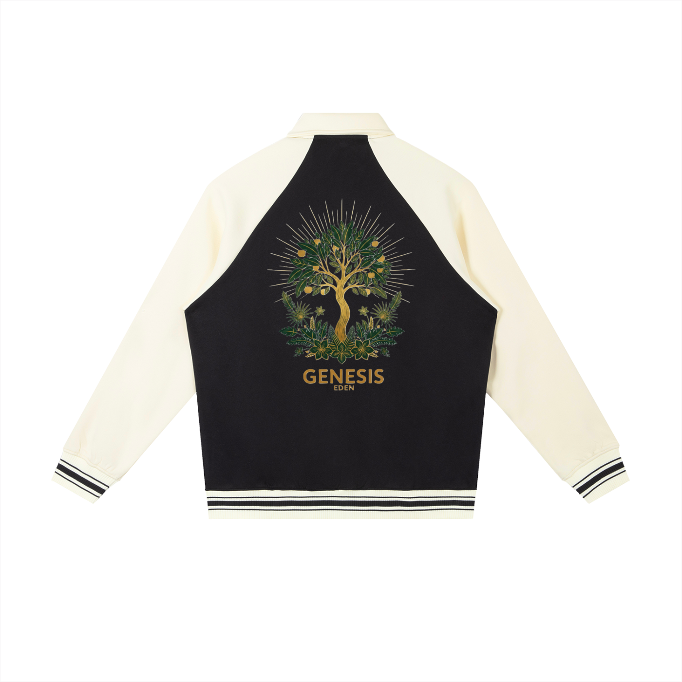 THE GENESIS COLLECTION: THE GARDEN Unisex Contrast Raglan Sleeve Baseball Jacket