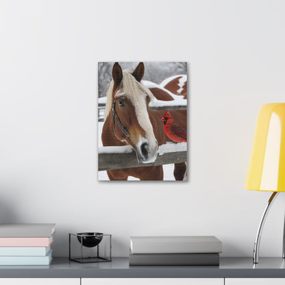 Horse and Cardinal Polyester Canvas