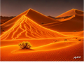 Desert of Beersheba (Genesis 21)- Neon and Sketch Outline Reference Images (2pk)