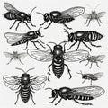 Plague of Flies & Locusts- Reference Image