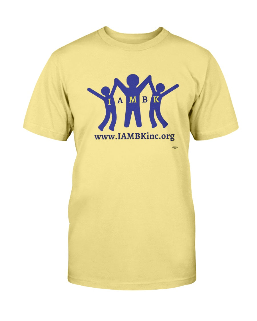 e9a7c98158a2dfe201d18a2ae393c8209603b0accb7a9c834ff94abb48e143fe