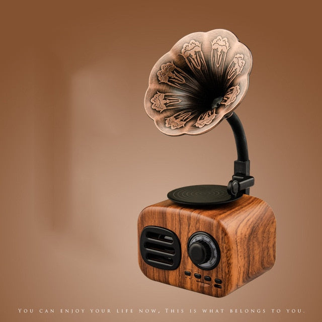 New Antique nostalgic small stereo Bluetooth 5.0 wooden retro phonograph wireless speaker plug in radio card