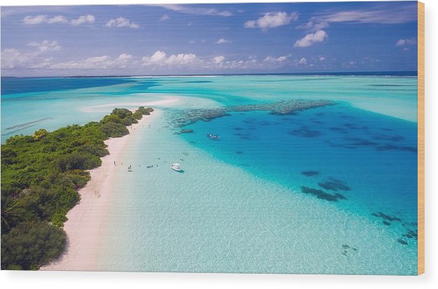 Beach Life - Wood Print