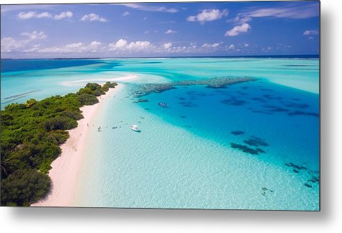 Beach Life - Metal Print