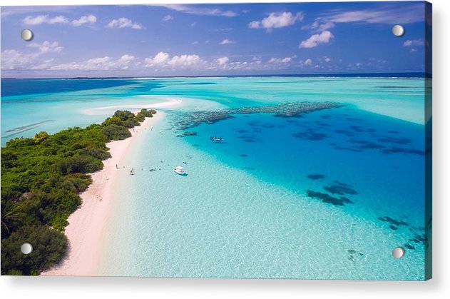 Beach Life - Acrylic Print