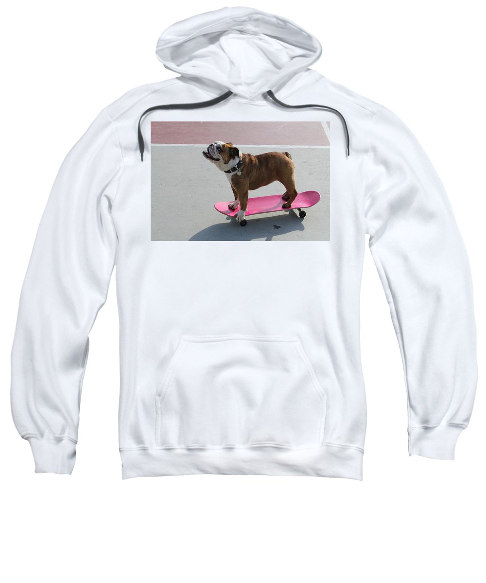 Dog - Sweatshirt
