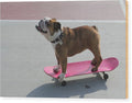 Dog - Wood Print