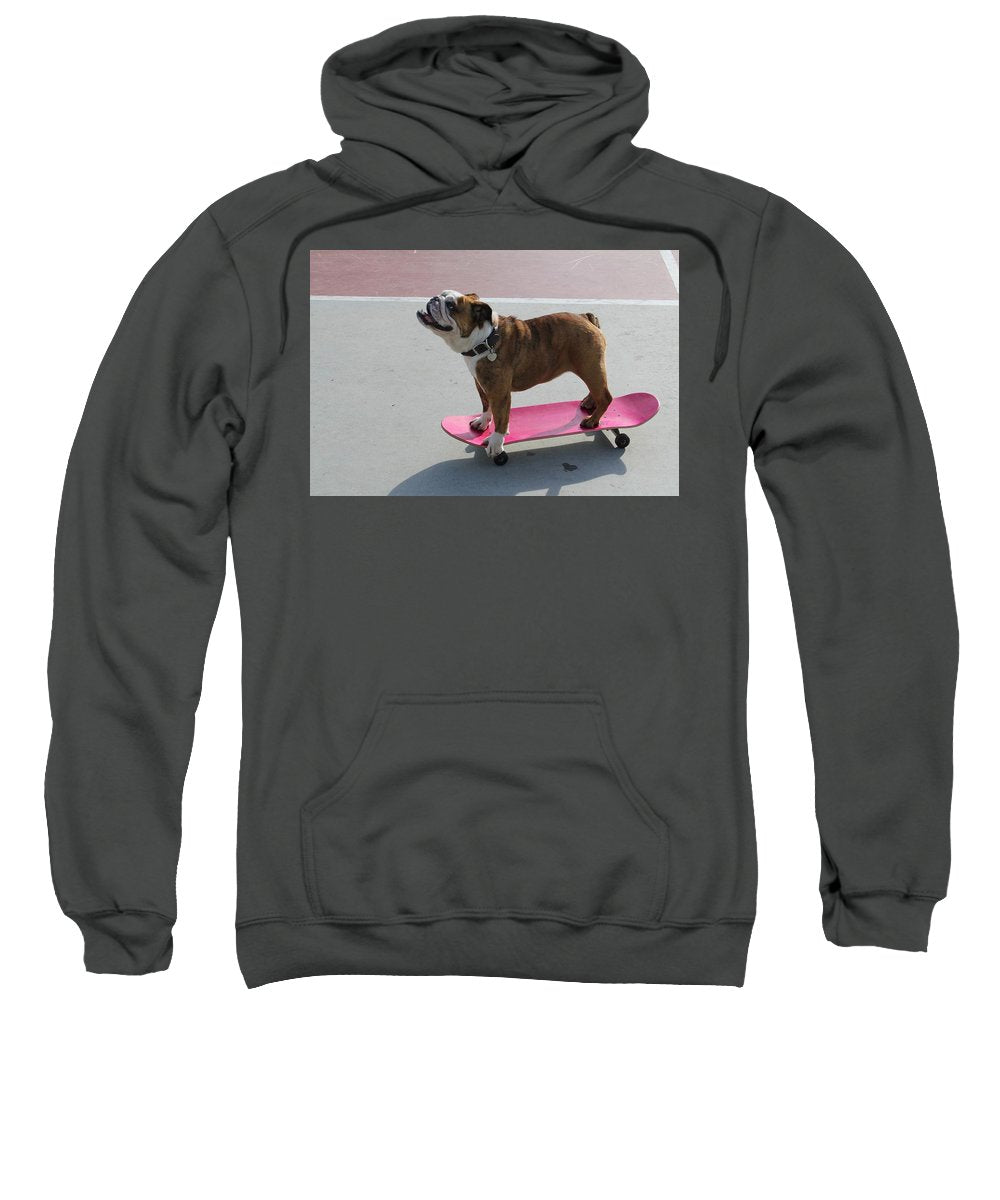 Dog - Sweatshirt
