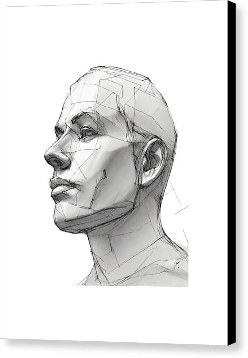 Human Face Sketch - Canvas Print