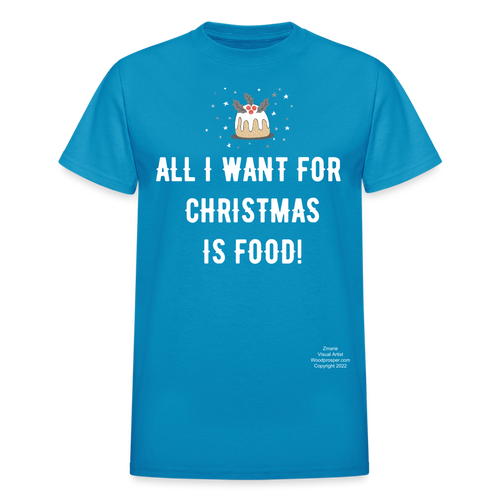 ALL I WANT Adult T-Shirt - turquoise
