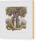The Fall of Man Interpretation - Wood Print
